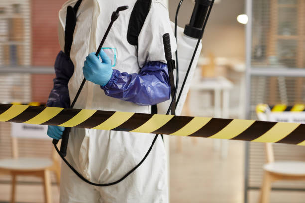 Professional Odor Removal technician working in Chandler, TX