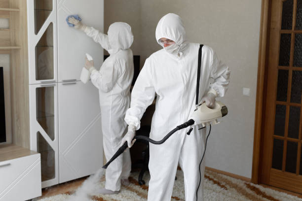 24/7 Emergency Odor Removal experts in Chandler, TX