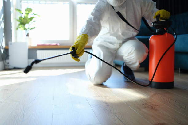 Reliable Odor Removal contractor in Chandler, TX by Trauma Clean Pros